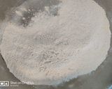A picture of step 4 of Maharashtrian puran poli.