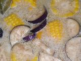 Sayur lo deh