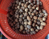 A picture of step 6 of Peanut.