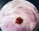 Foto del paso 5 de la receta: Malvaviscos Sin Tacc