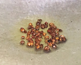 菇菇螞蟻上樹的食譜步驟3照片