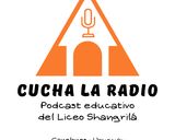 Foto del paso 5 de la receta: Receta de "Cucha la Radio" Torta de chocolate