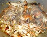 Foto langkah ke 14 dari resep Rajungan Vs Tutut Pedas Manis.