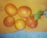 Une image de l'étape 1 de Jus d'orange la sanguine.
