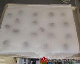A picture of step 10 of Caramel Chocolate Bites with Sea Salt.