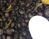Foto langkah ke 1 dari resep Tutut pedas.