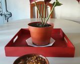 Foto del paso 4 de la receta: Cazuelita de lentejas