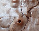 Foto del paso 7 de la receta: Brownie de chocolate🍫🍫