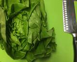 Asian lettuce wraps Chicken or Beef recipe step 12 photo