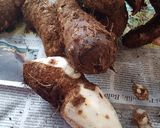 Foto langkah ke 1 dari resep Stik talas gurih.
