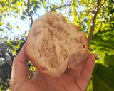 Foto del paso 7 de la receta: Figazas de manteca.🍞