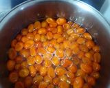 Foto del paso 2 de la receta: Kinotos en almíbar