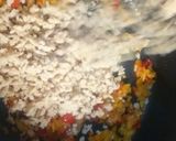 Foto del paso 2 de la receta: Hamburguesas de soja texturizada