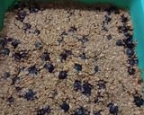 Foto del paso 4 de la receta: Barras de avena y arándanos saludable.🤩👩🏼‍🍳