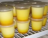 Foto langkah ke 4 dari resep Pudding Sutra Mangga.