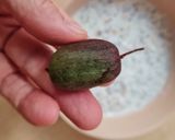 Foto del paso 2 de la receta: Un desayuno de avena remojada en yogur griego con kiwiños (kiwi-berry)