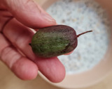 Foto del paso 2 de la receta: Un desayuno de avena remojada en yogur griego con kiwiños (kiwi-berry)