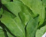 A picture of step 2 of Chicken Palak.