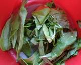 Green Smoothie recipe step 1 photo