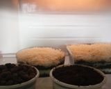 Foto langkah ke 5 dari resep Oreo cheesecake.