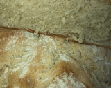 Foto del paso 5 de la receta: Pan de campo xl