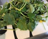 Une image de l'étape 4 de Salade de brede mafane au céleri,carottes,pois chiches, tomates et oignon.
