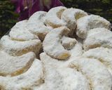 Foto langkah ke 6 dari resep Putri salju Tampa telur Tampa oven.