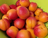 Hình bước làm 1 của món Mứt Quả Mơ (Apricot Jam)