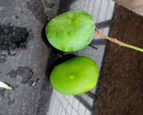 A picture of step 1 of Aam panna (raw mango drink).