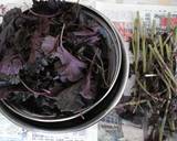 Clean and Refreshing Red Shiso Juice recipe step 2 photo