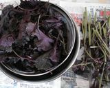 A picture of step 2 of Clean and Refreshing Red Shiso Juice.
