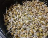 A picture of step 2 of Sprouts salad.