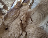 Foto del paso 1 de la receta: Torta galesa