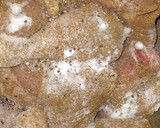 Foto del paso 7 de la receta: Arroz con maíz y Pollo frito