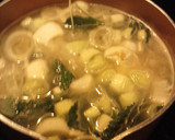 A picture of step 11 of Pork, Leek And Onion Soup.