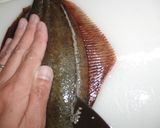 A picture of step 4 of How to Fillet a Fish [5-Portion Fillet].