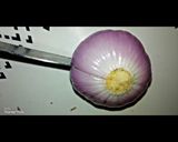 अनियन लोटस विद चीज़ी डीप(Onion Lotus with cheesy dip recipe in Hindi) रेसिपी चरण 2 फोटो