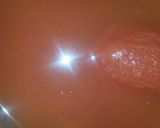 A picture of step 1 of Sig's Gazpacho.