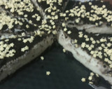 Foto del paso 8 de la receta: Tarta de galletas oreo