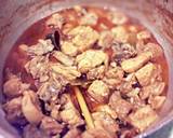 Chicken Curry with Fresh Chilli Paste / Northern Thai style recipe step 8 photo