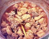 A picture of step 8 of Chicken Curry with Fresh Chilli Paste / Northern Thai style.