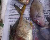 yellow tail stew recipe step 1 photo