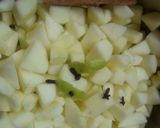 Foto del paso 3 de la receta: Puré de Manzana Navideño🇵🇪