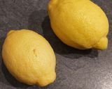 Une image de l'étape 1 de Citronettes 🍋.