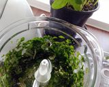 A picture of step 2 of Gnocchi with Homemade Basil Pesto.