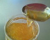 A picture of step 18 of Lemon Jam.