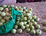 A picture of step 1 of Homemade Apple sauce.