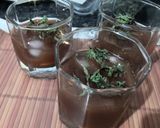 A picture of step 5 of Lemon pudina ice tea.