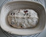 A picture of step 7 of Whole Wheat Berry Pain de Campagne.