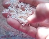 A picture of step 1 of Instant kheer mix.